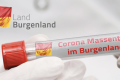 Corona - Massentests in Parndorf